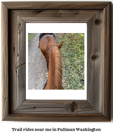 trail rides near me in Pullman, Washington